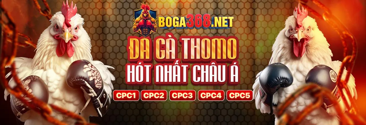 Tổng quan các trò chơi tại 888aa